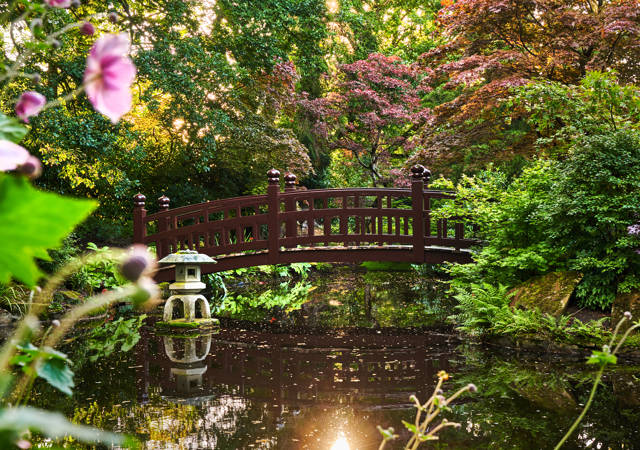 Why Choose a Wellness Retreat?