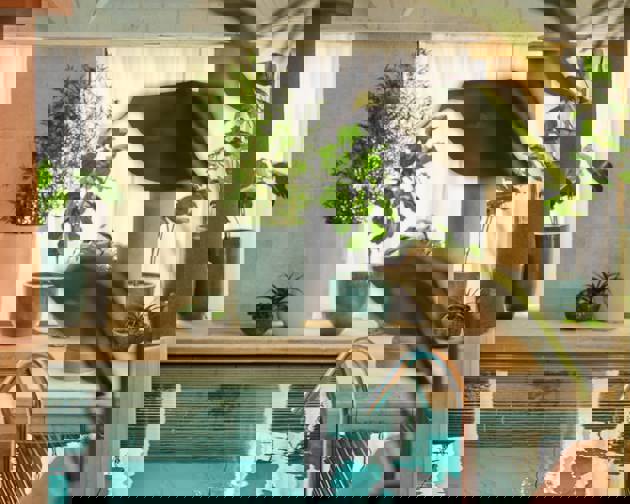 Wellness Enthusiasts