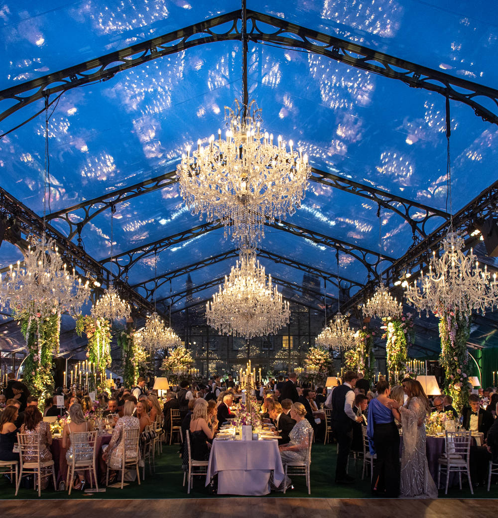 A Night Under the Stars 