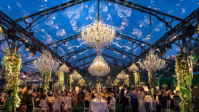 A Night Under the Stars 