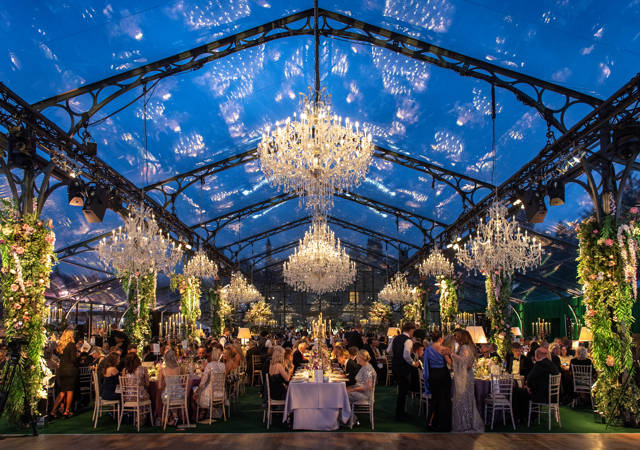 A Night Under the Stars 